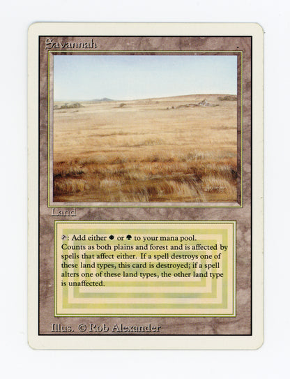 Savannah — ID 19897