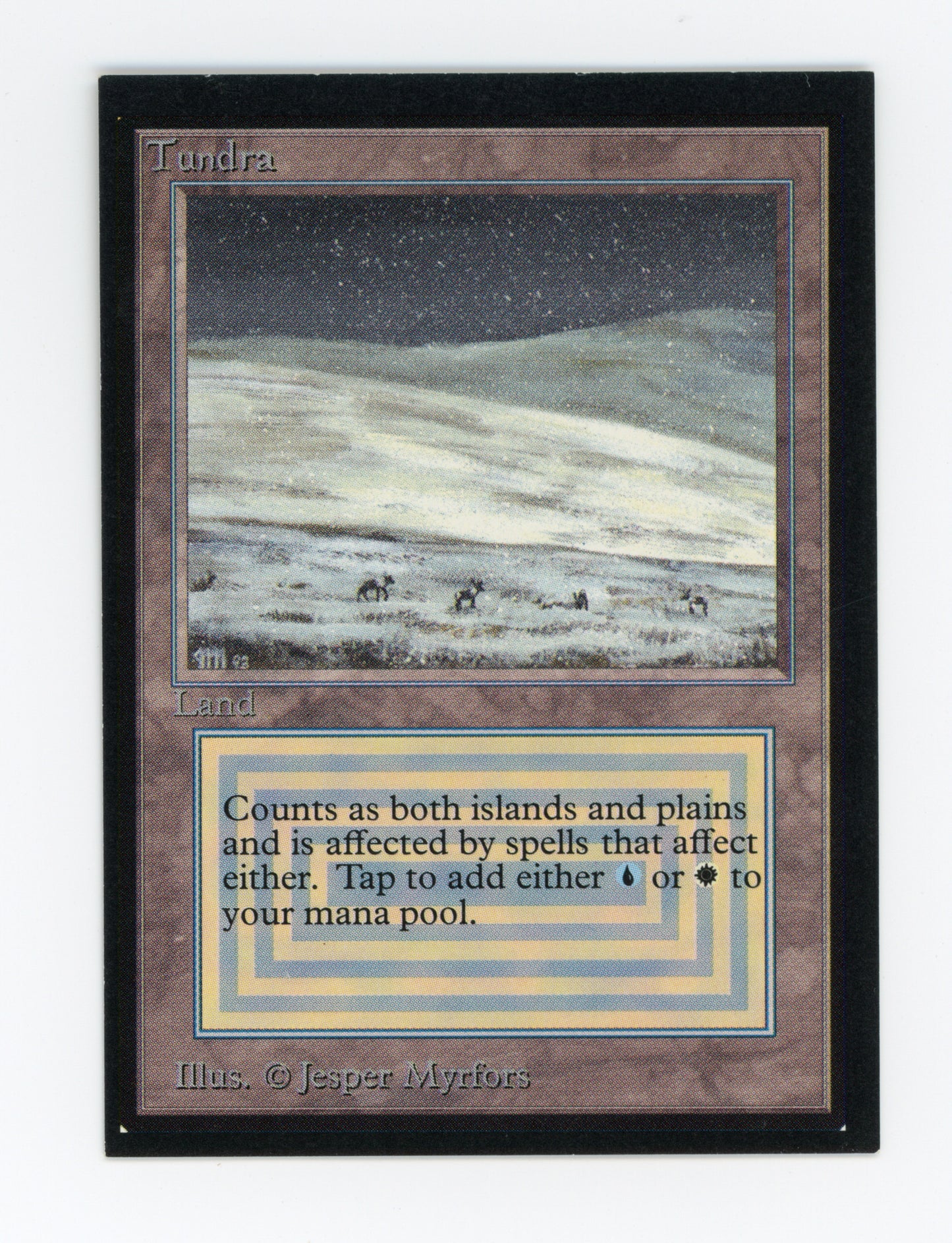 Tundra — ID 19375