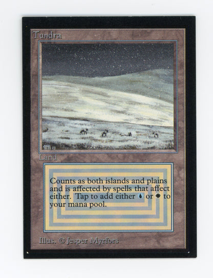 Tundra — ID 19375