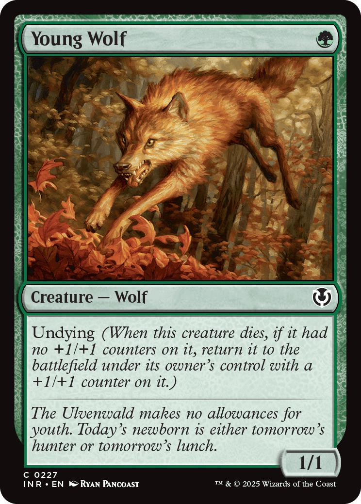 Young Wolf [227] [Innistrad Remastered] [Non-Foil]