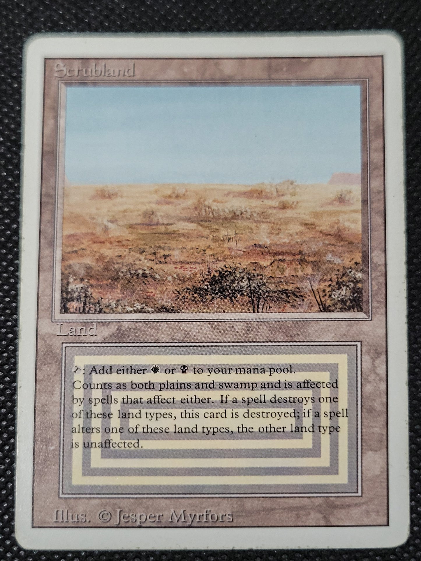 Scrubland — ID 16946