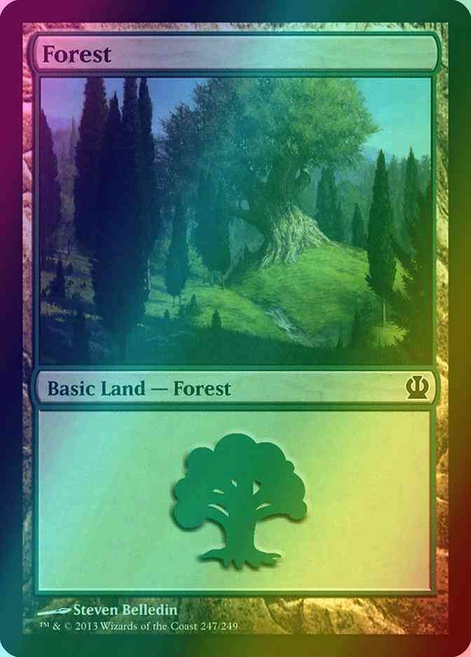 Forest [247] [Theros] [Foil]
