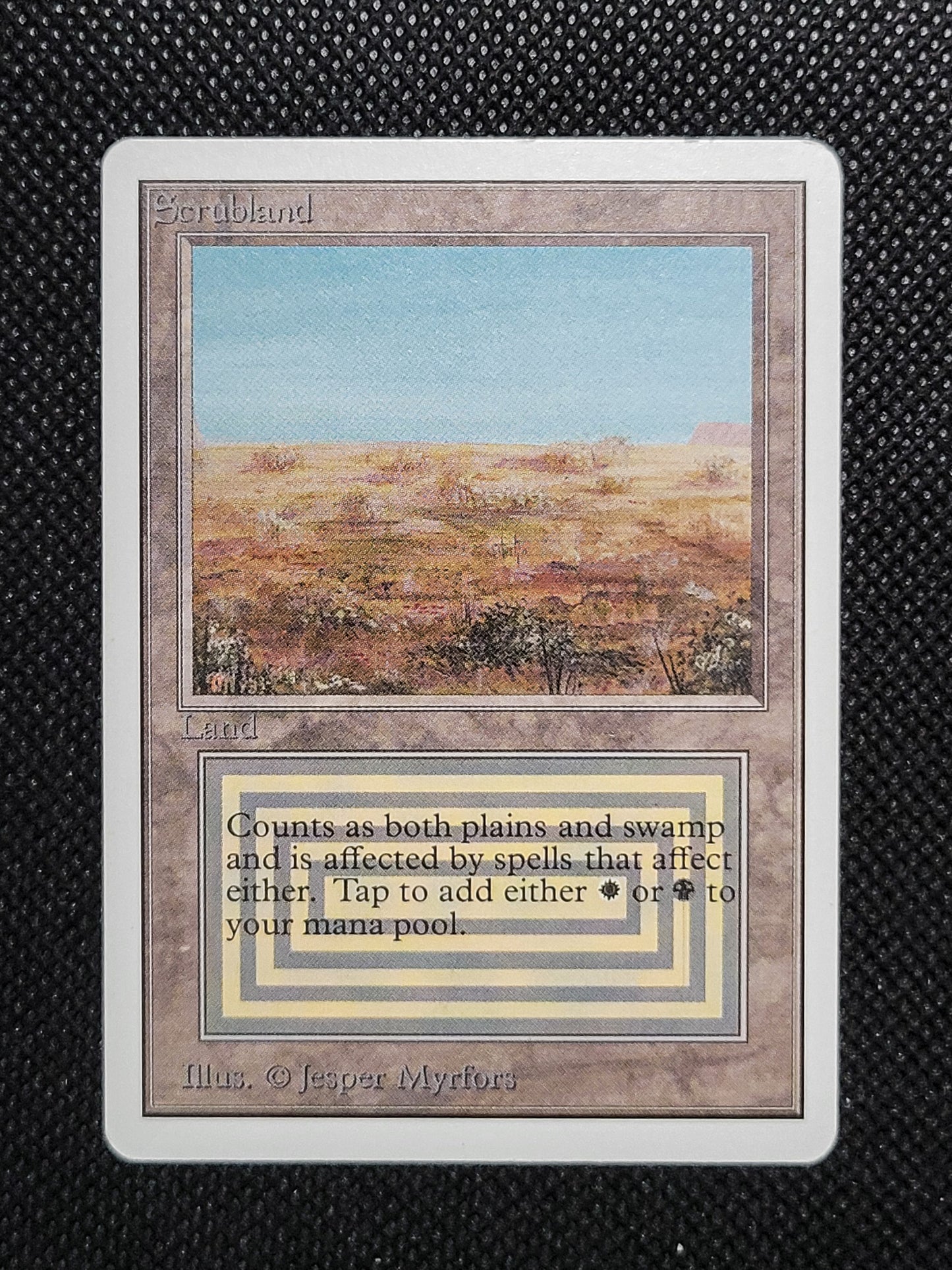 Scrubland — ID 16950