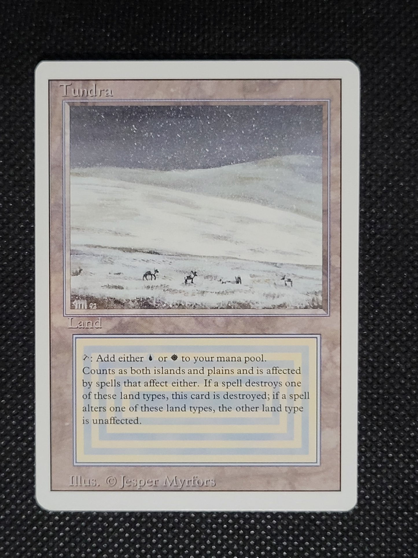 Tundra — ID 19843