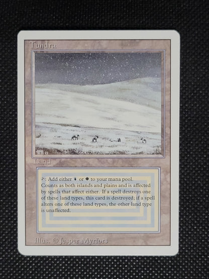 Tundra — ID 19843