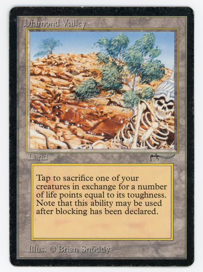 SIN-SCAN-13259