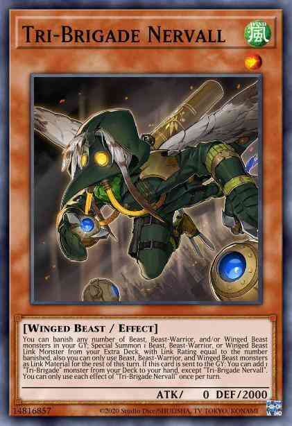 Tri-Brigade Nervall - PHRA-EN006 - Common - 1st Edition