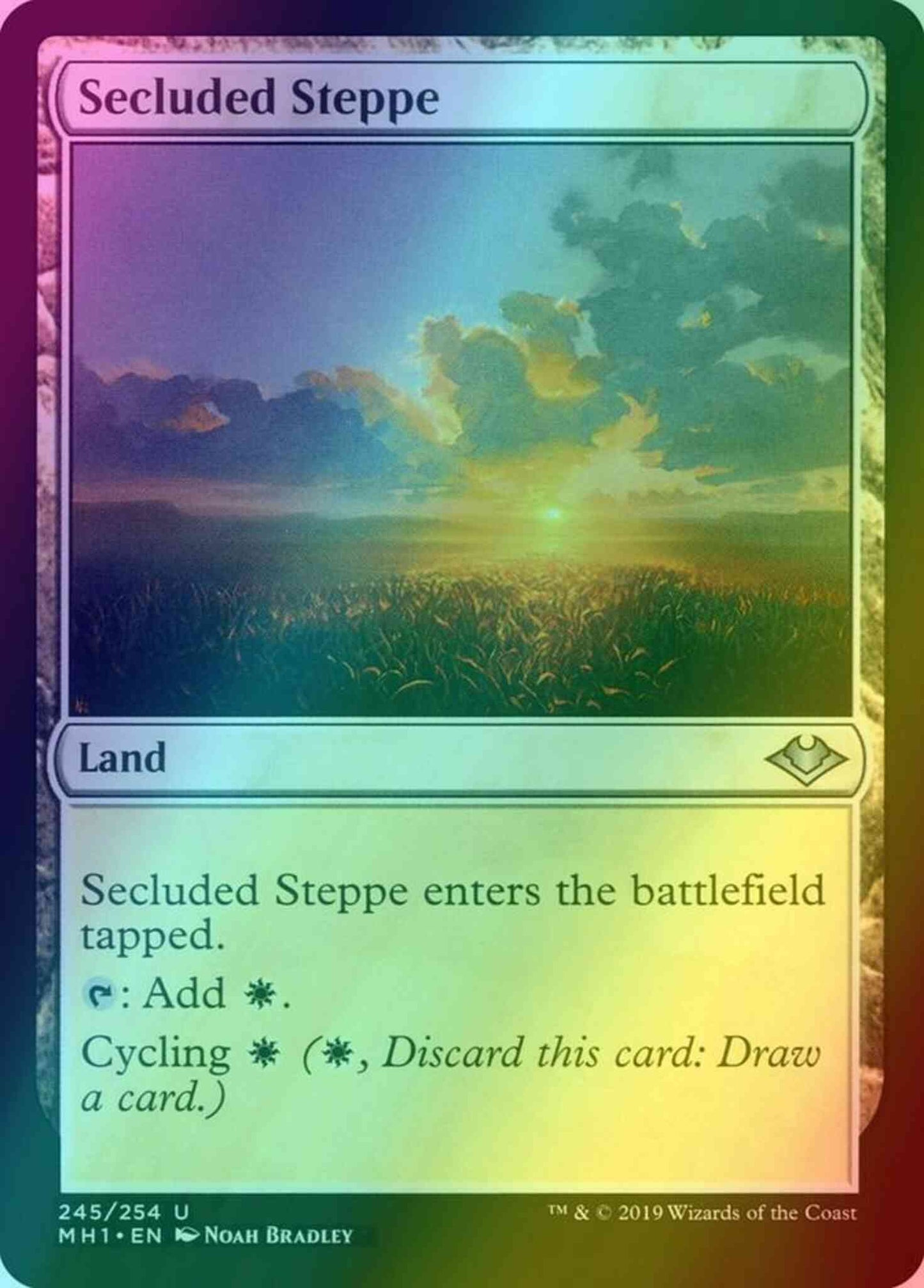 Secluded Steppe [245] [Modern Horizons] [Foil]