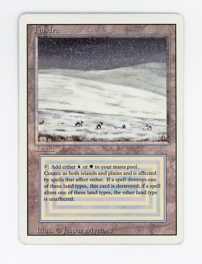 Tundra — ID 18681
