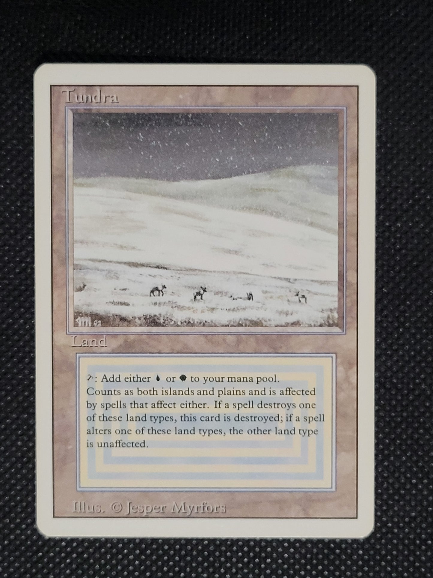 Tundra — ID 19374