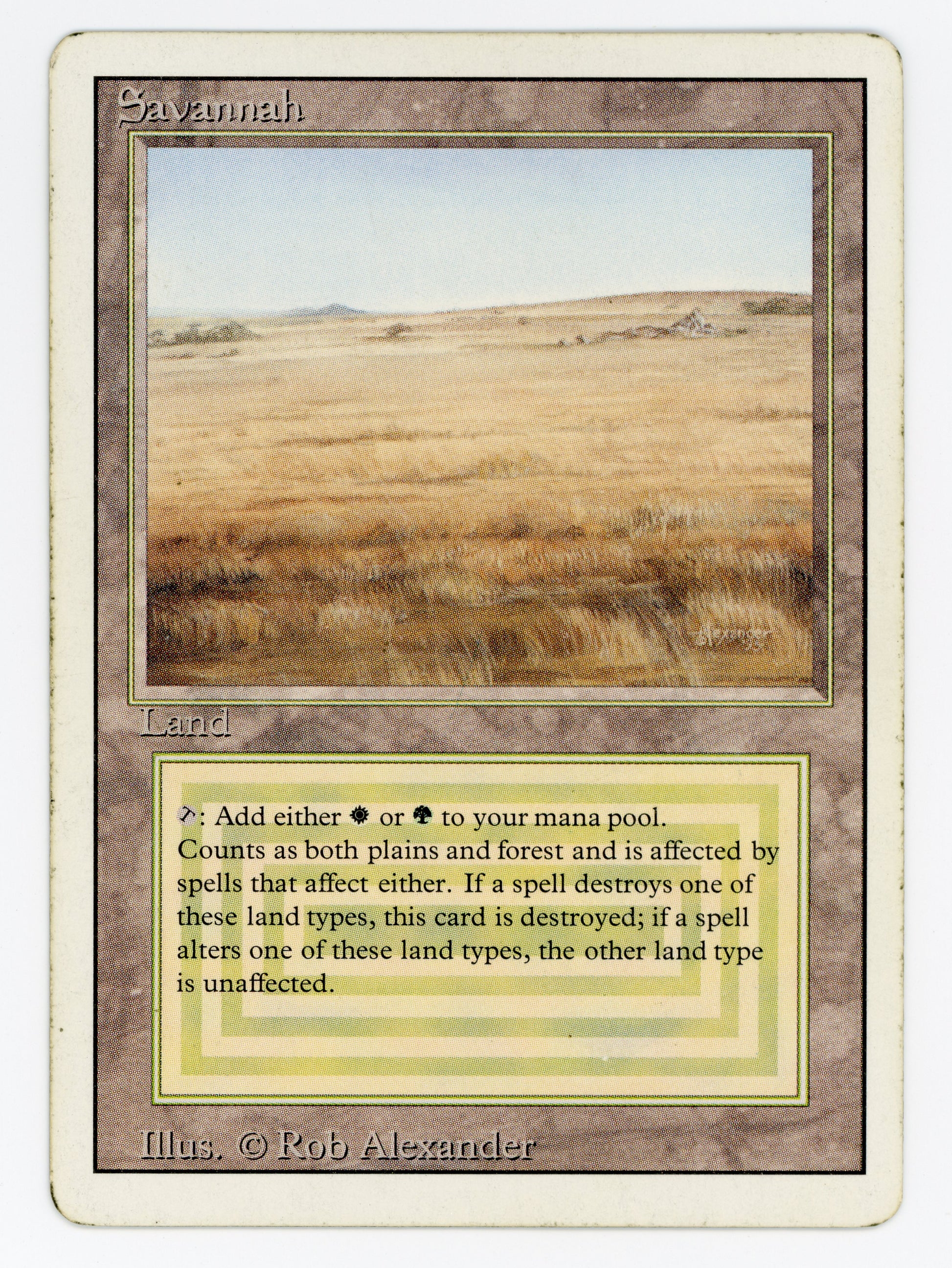 SIN-SCAN-15657
