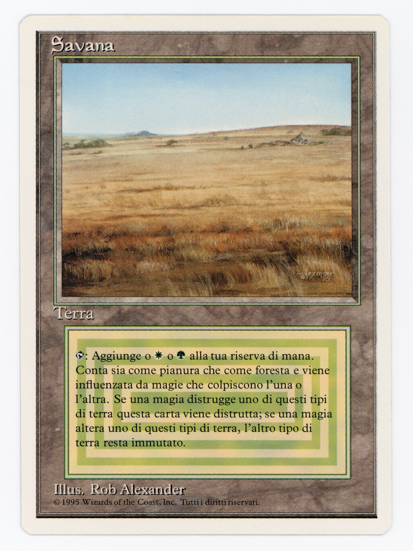 SIN-SCAN-14565