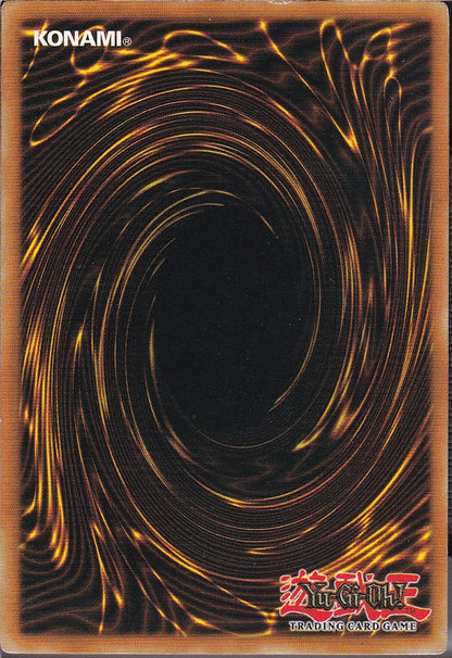 SIN-SCAN-10238