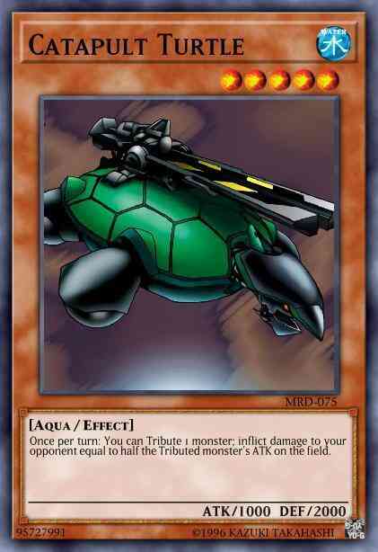 Catapult Turtle - DPYG-EN006 - Common - 1st Edition