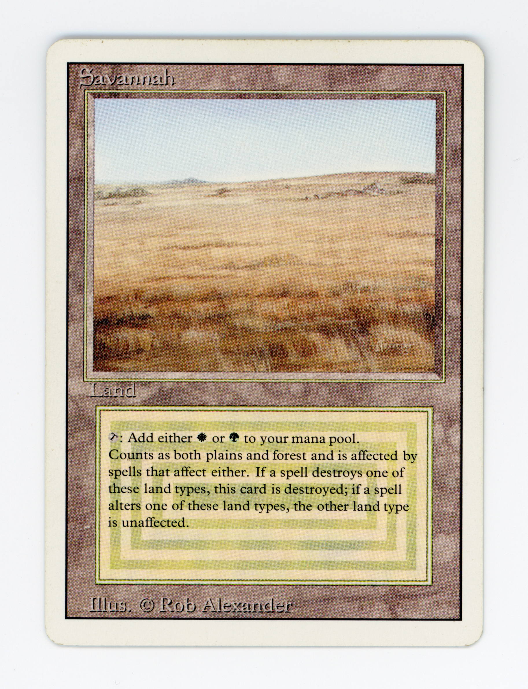 SIN-SCAN-16410