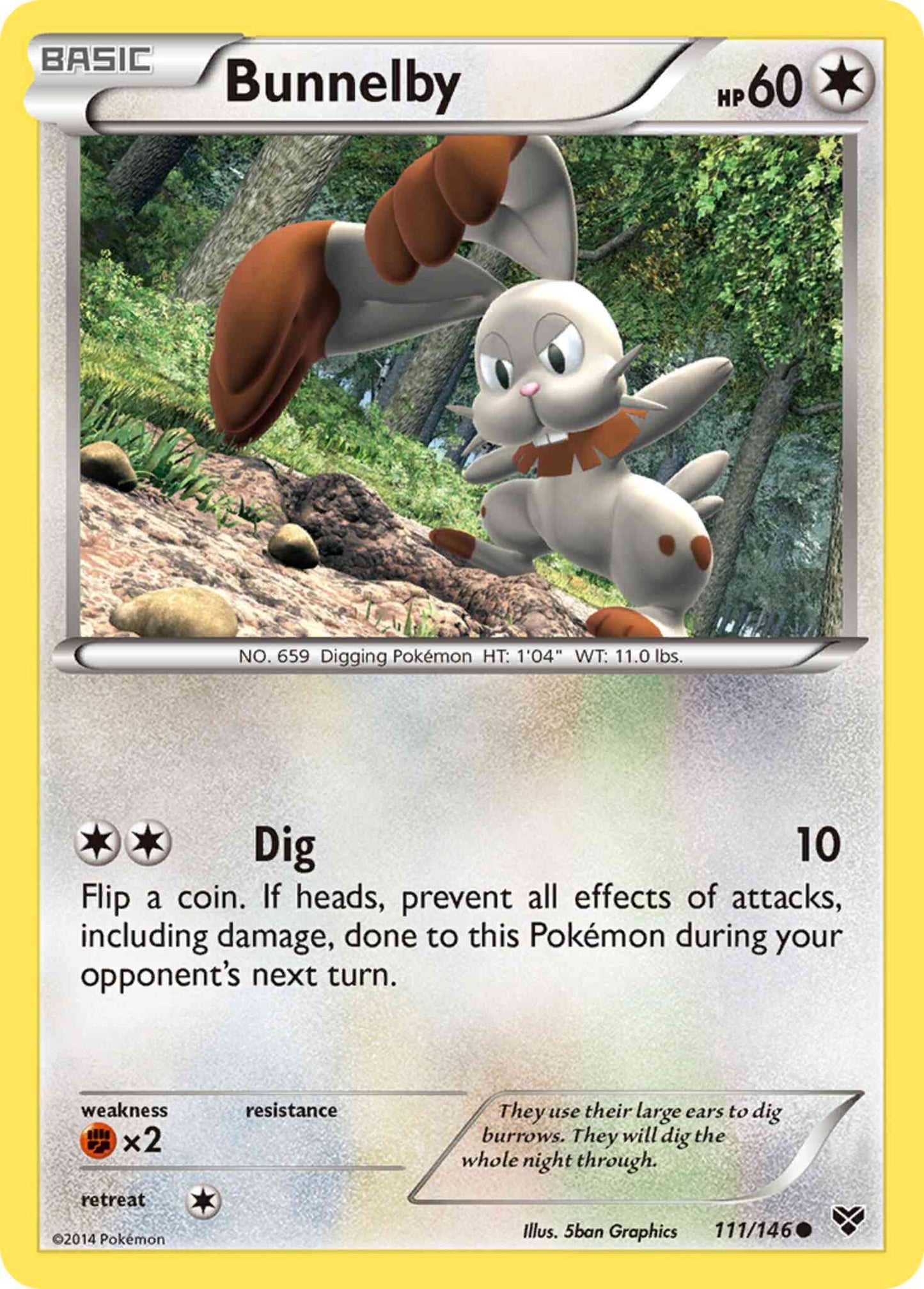 Bunnelby - 111/146 - Common [xy1-111] [Reverse Holo]