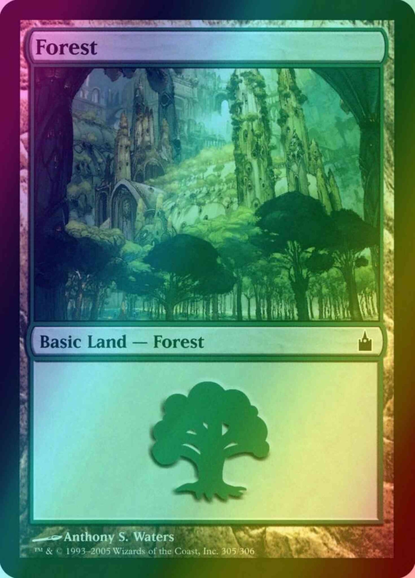 Forest [305] [Ravnica City Of Guilds] [Foil]