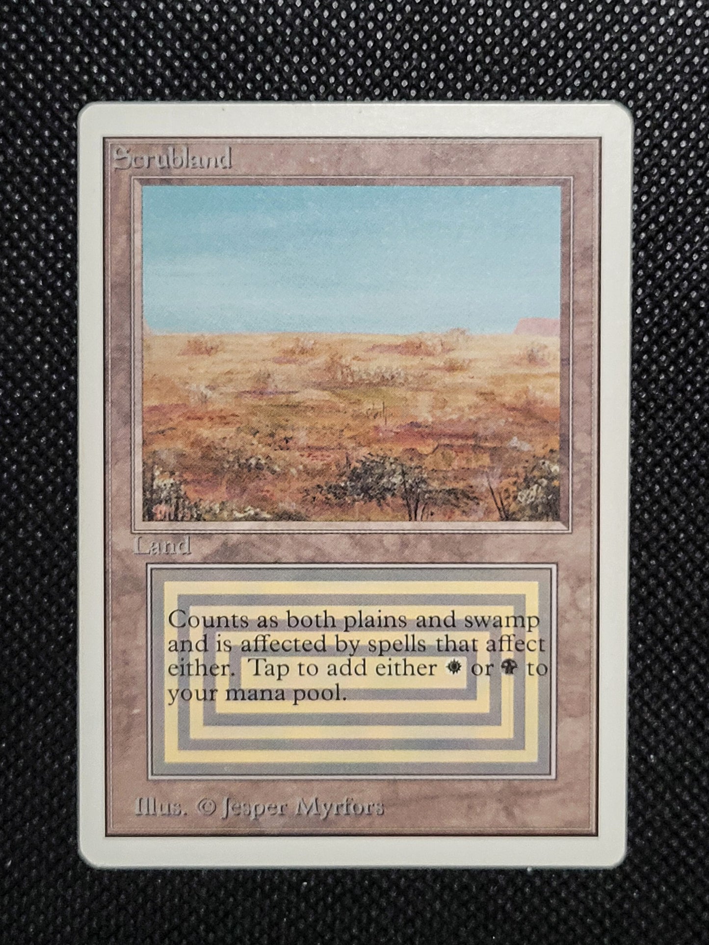 Scrubland — ID 16947