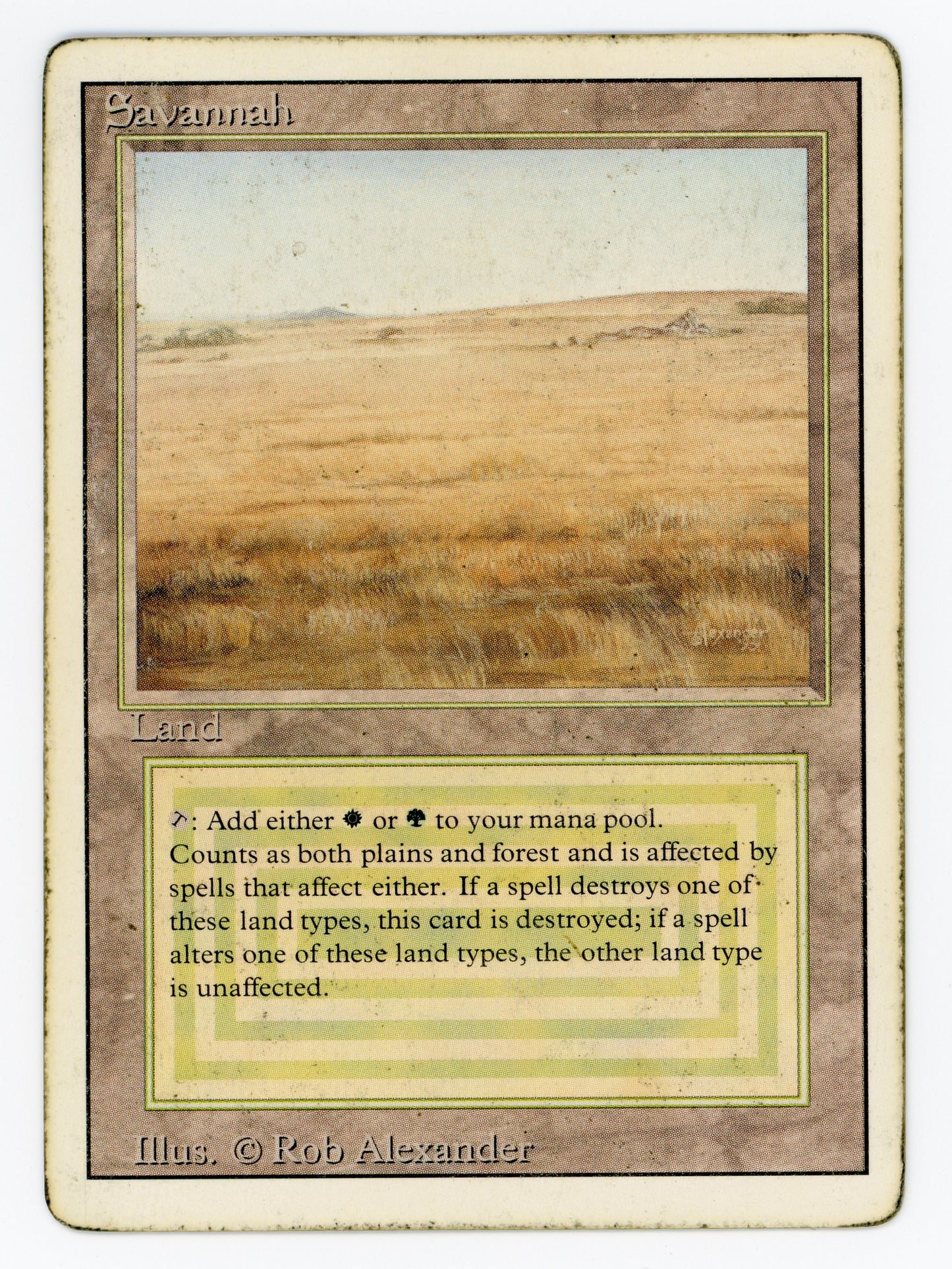 SIN-SCAN-15880