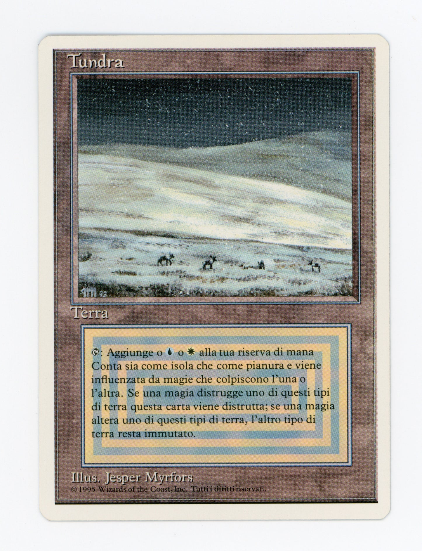 Tundra — Italian — ID 18260