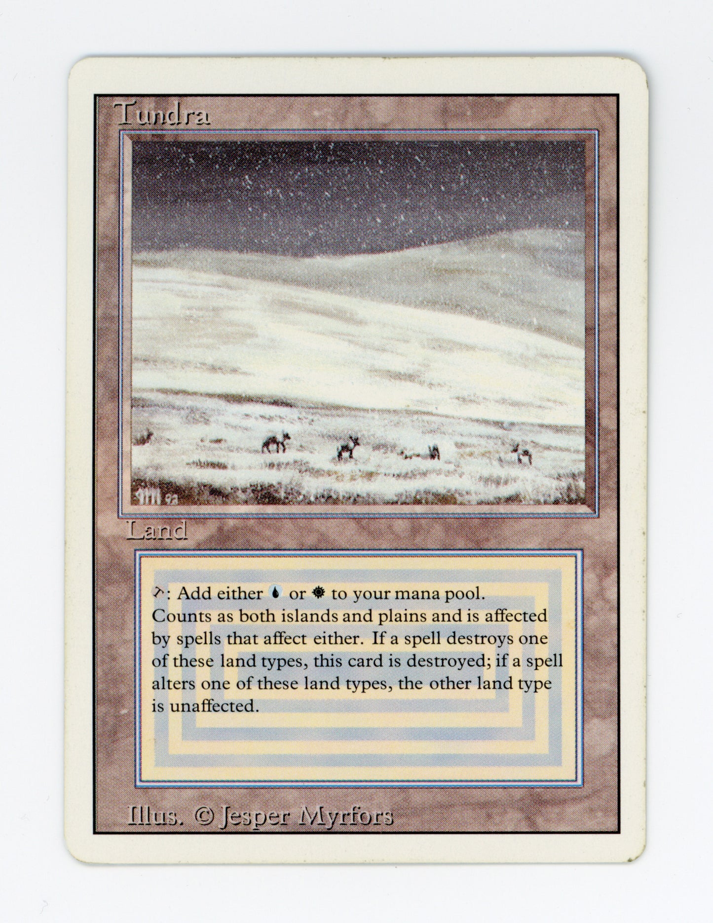 Tundra — ID 19130