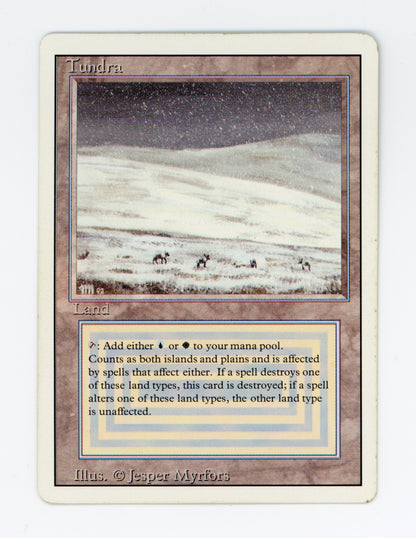 Tundra — ID 19130