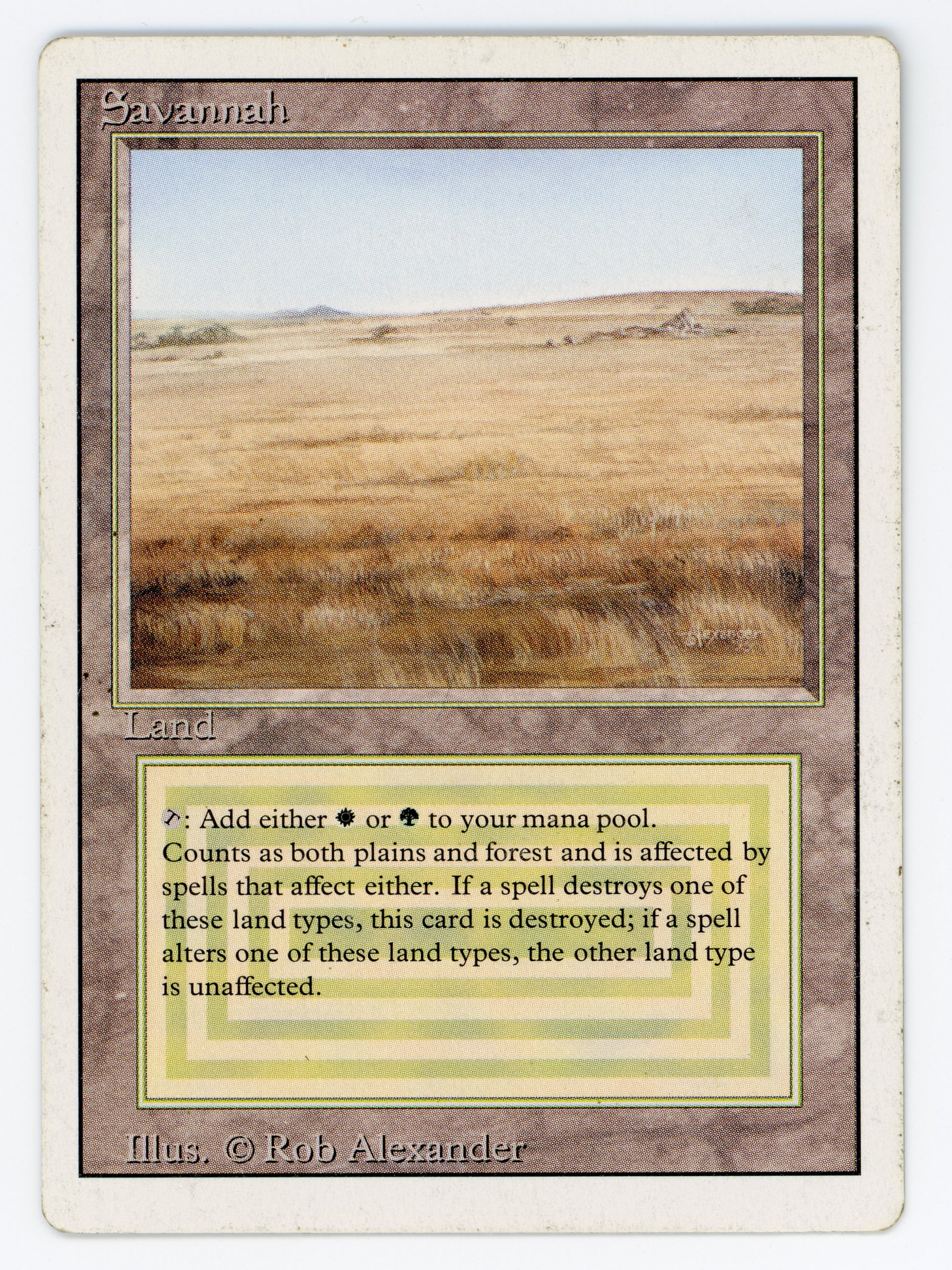 SIN-SCAN-14243
