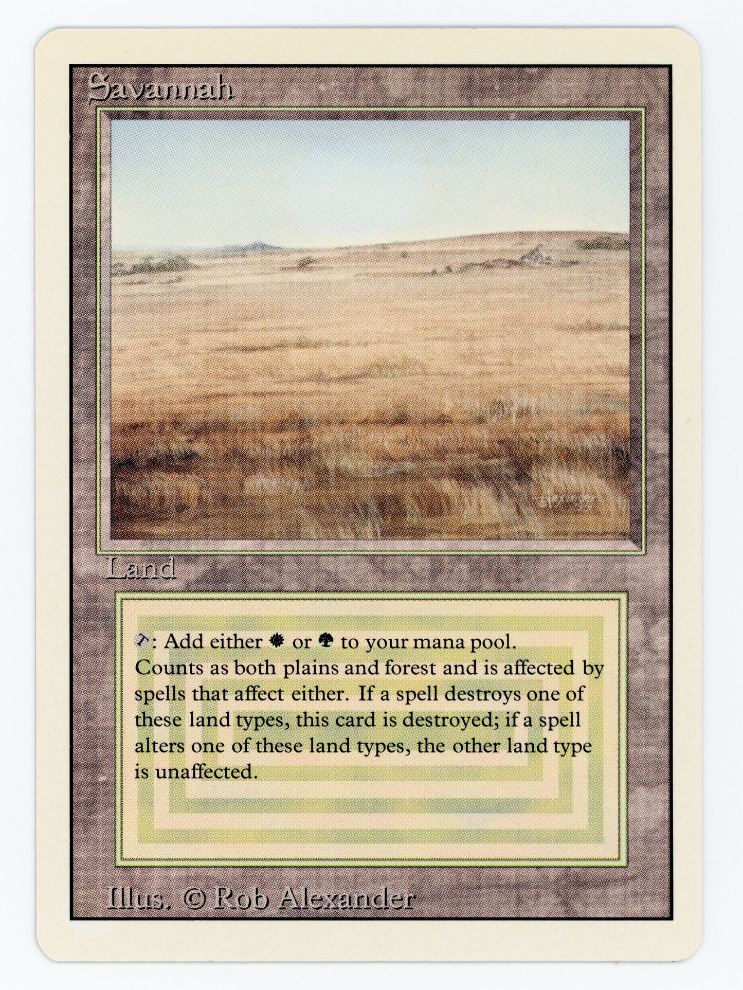 SIN-SCAN-15371
