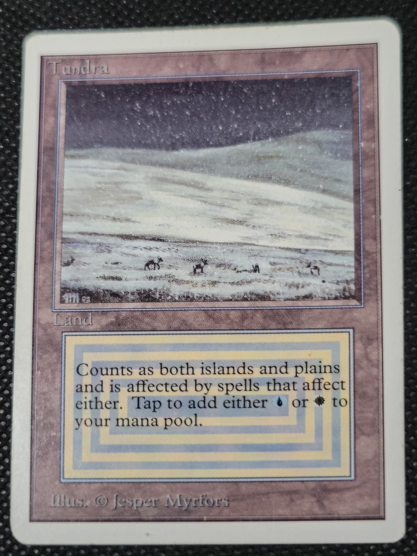 Tundra — ID 16974
