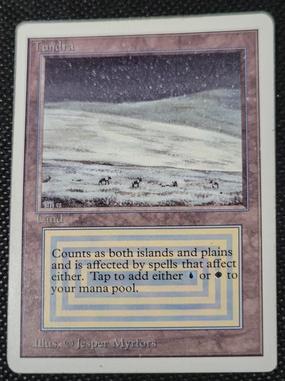 Tundra — ID 16974