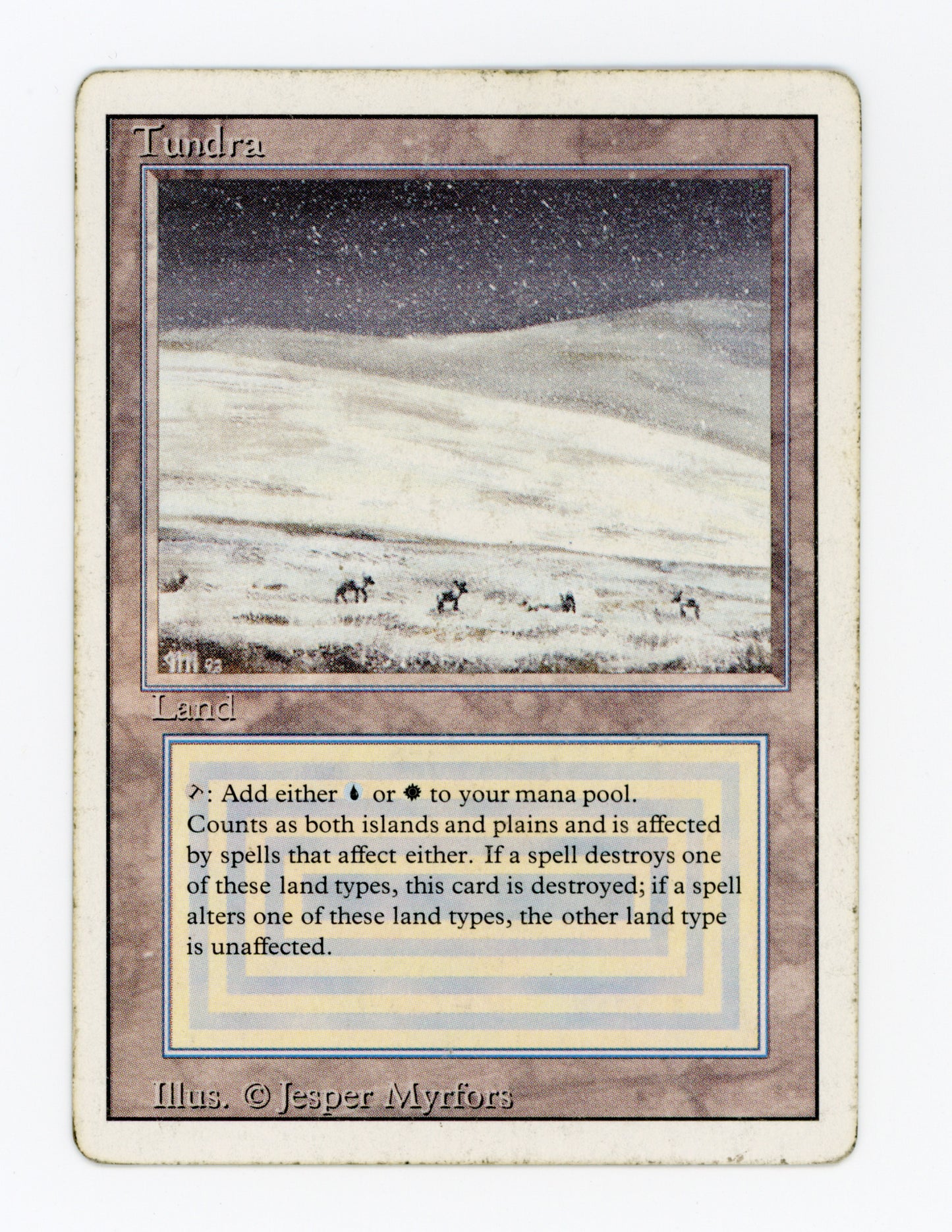 Tundra — ID 19910
