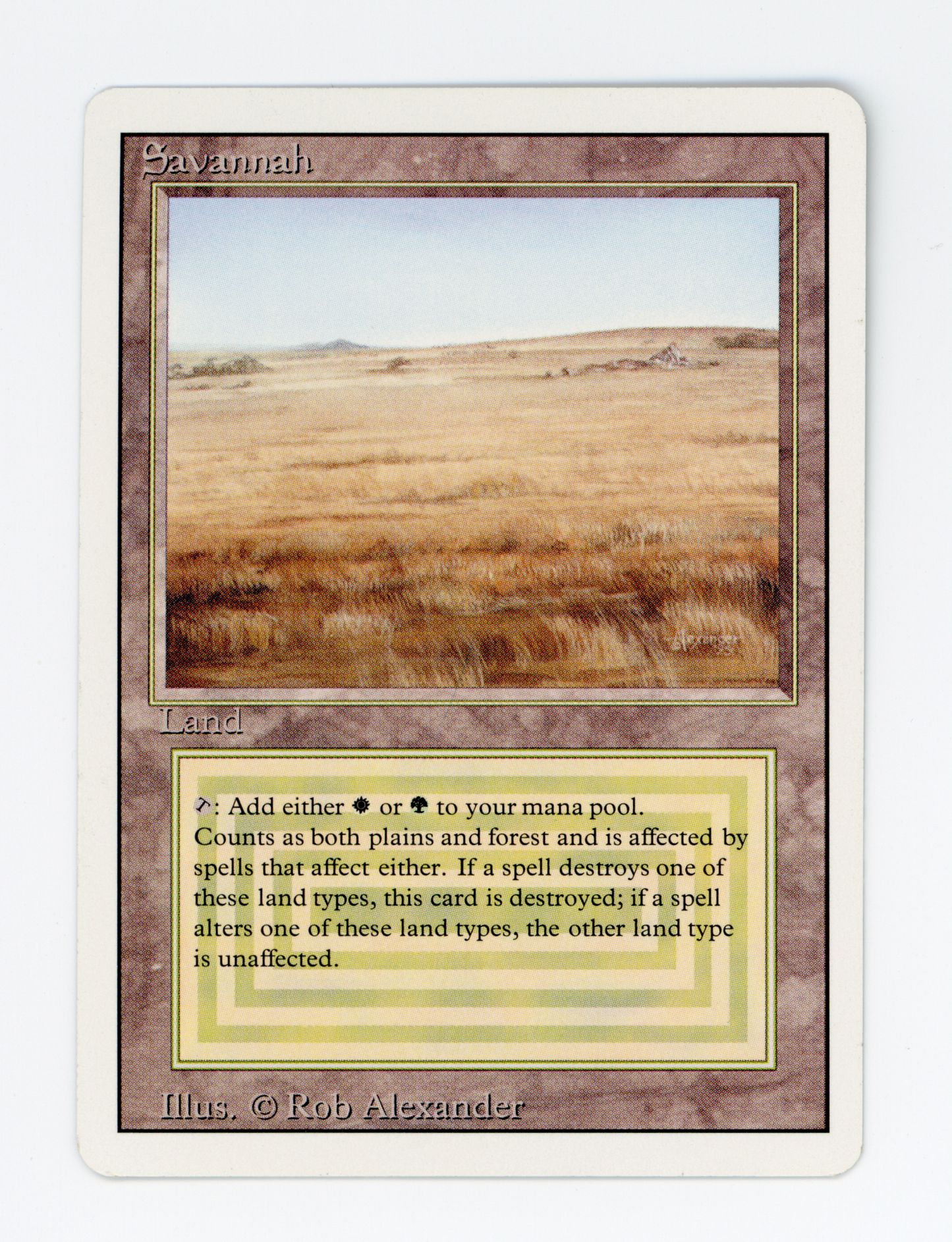 SIN-SCAN-16331