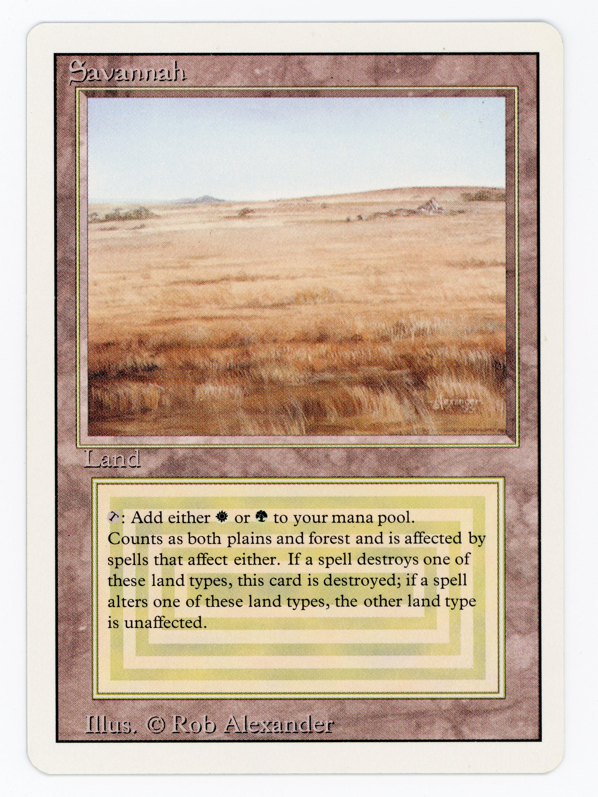 SIN-SCAN-14419