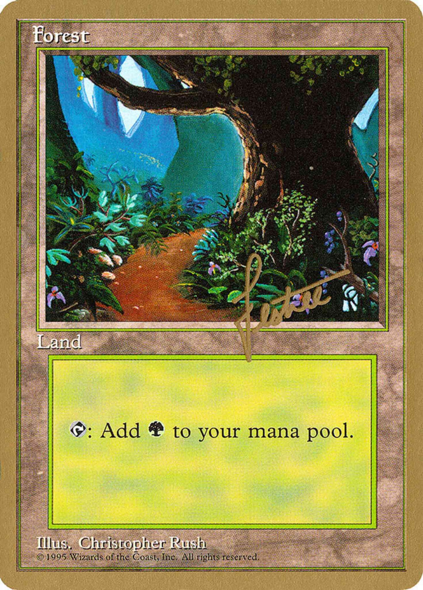 Forest [bl376] [Bertrand Lestree] [Path] [Pro Tour Collector Set] [Non-Foil]