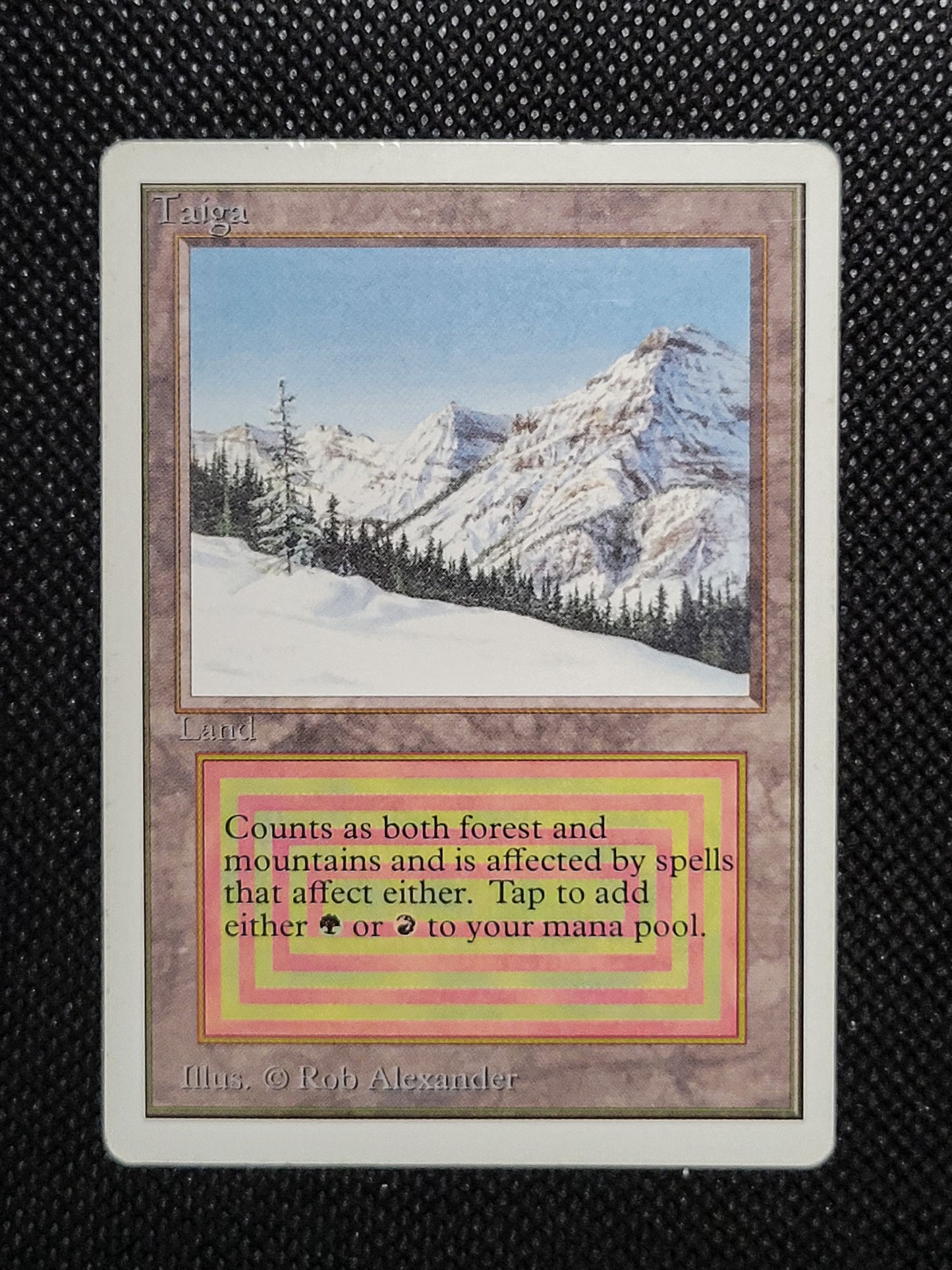 Taiga — Damaged — ID 16959
