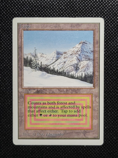 Taiga — Damaged — ID 16959