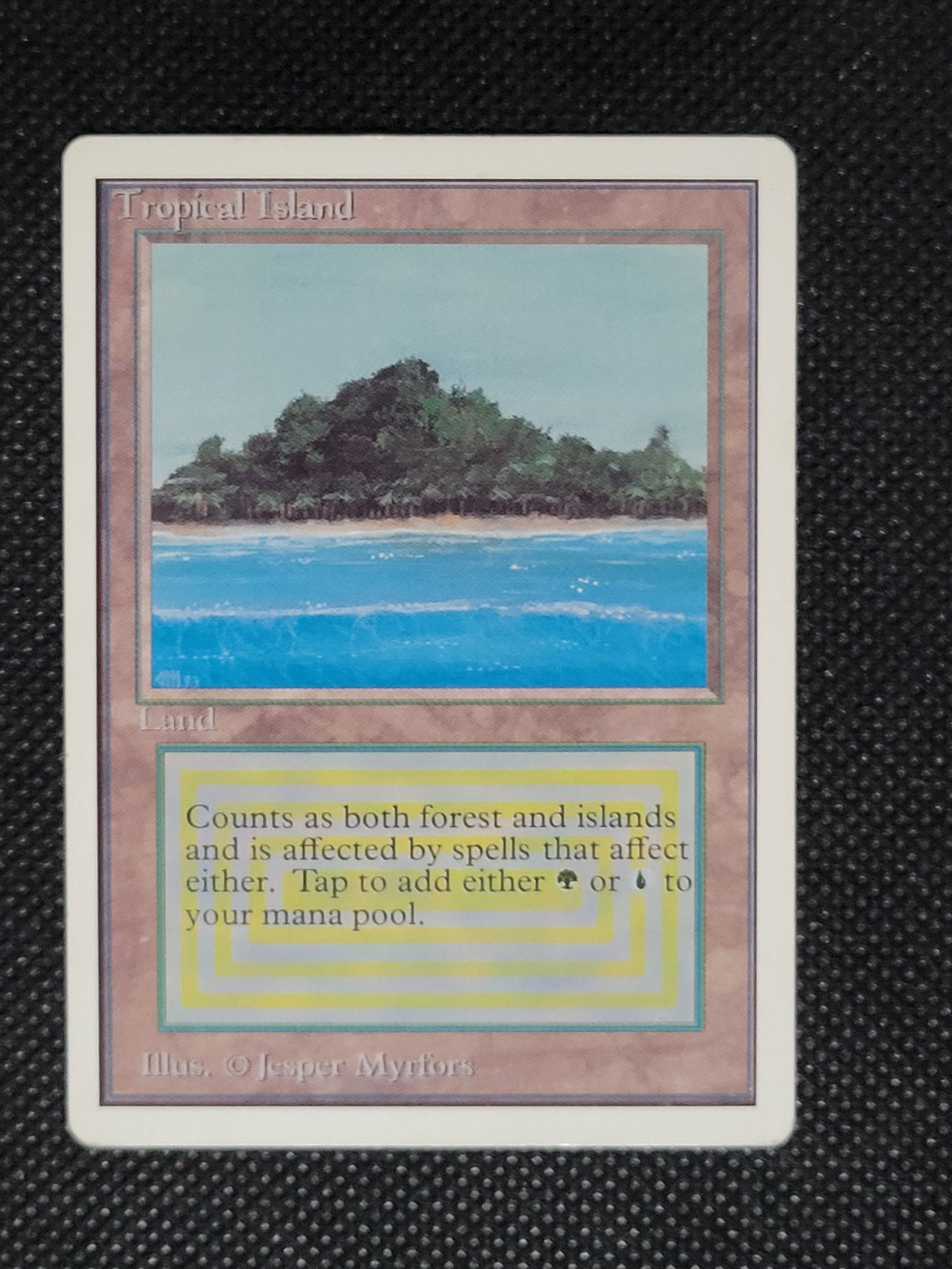 Tropical Island — ID 19551