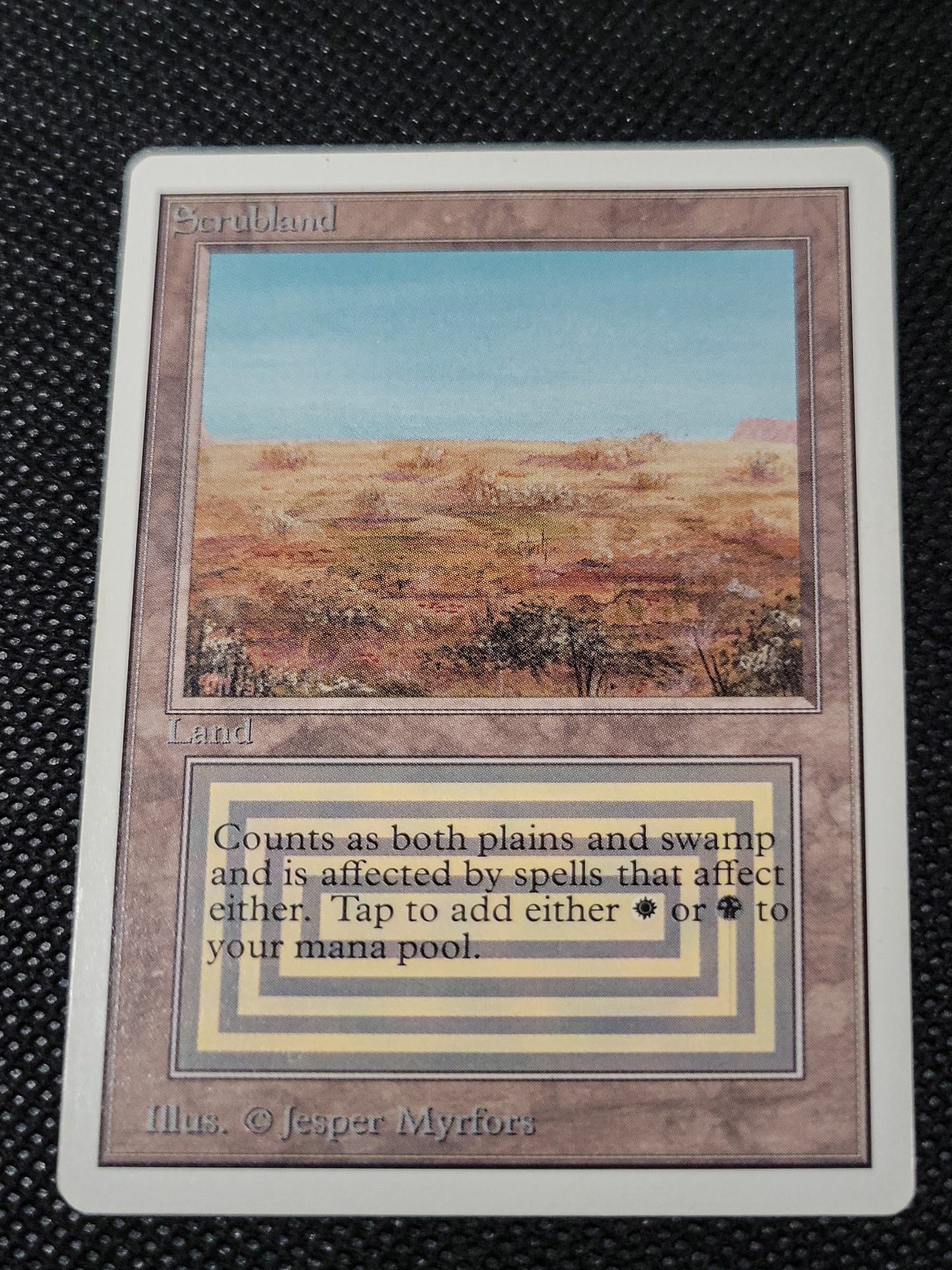 Scrubland — ID 16947