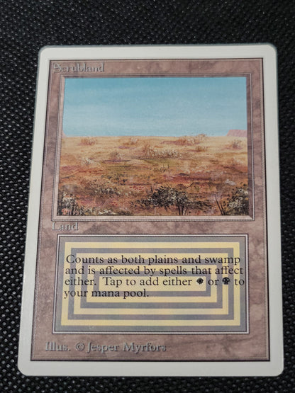 Scrubland — ID 16947