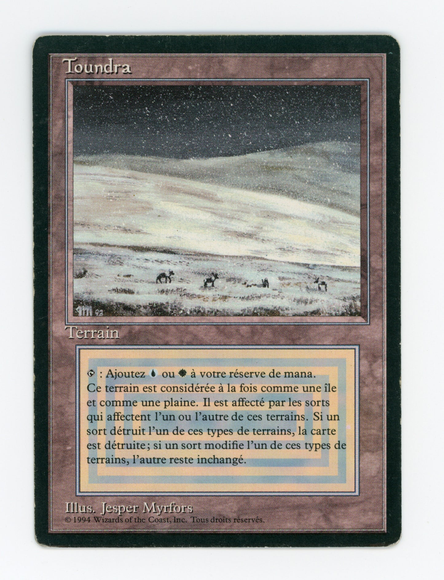 Tundra — French — ID 18685