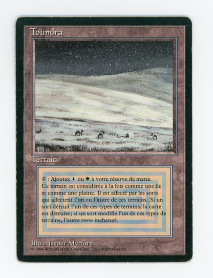 Tundra — French — ID 18685