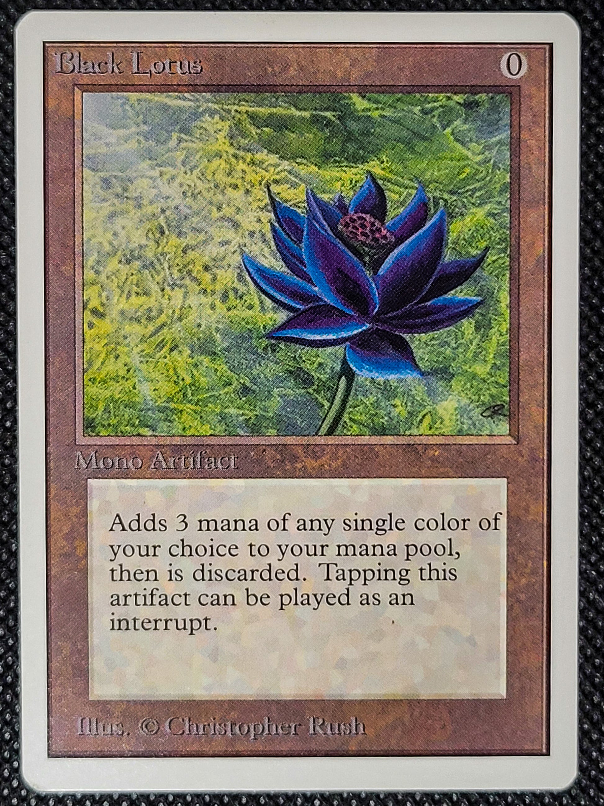 SIN-SCAN-16555_g