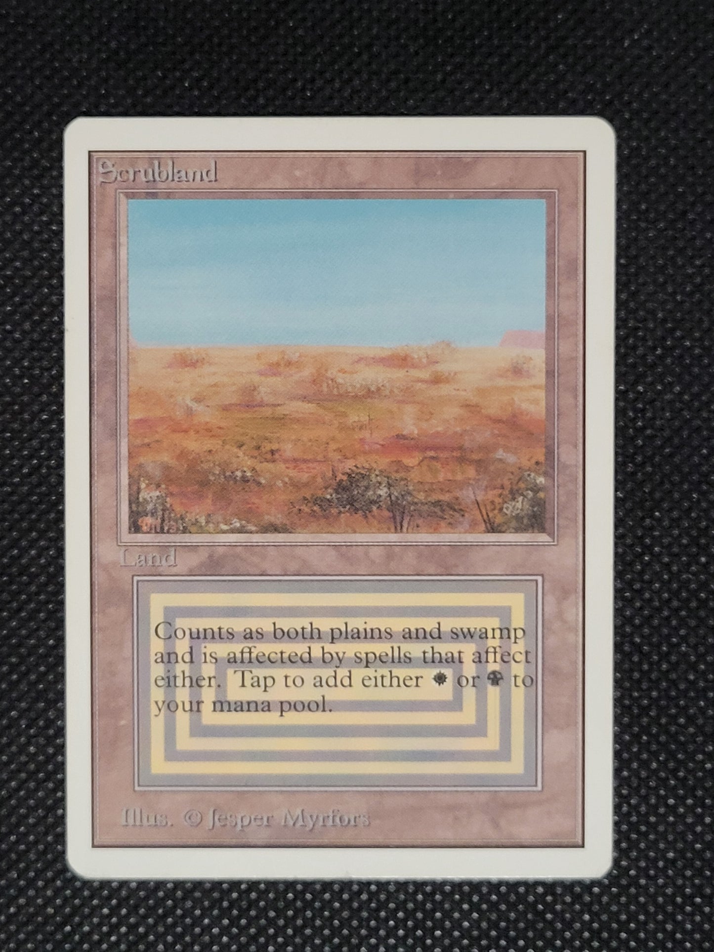 Scrubland — ID 19604