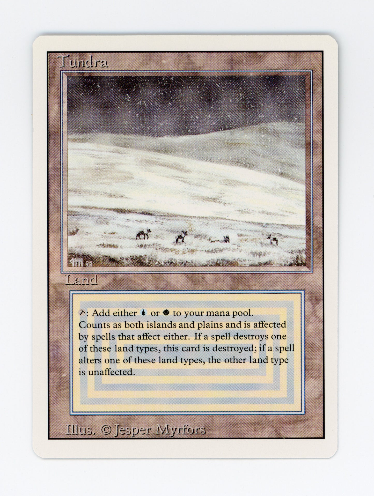 Tundra — ID 19723
