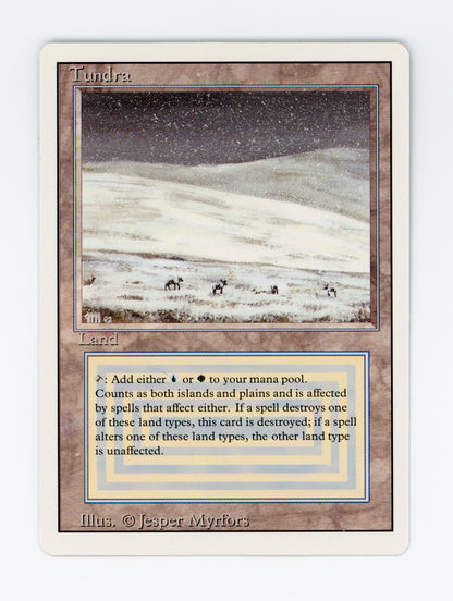 Tundra — ID 19723