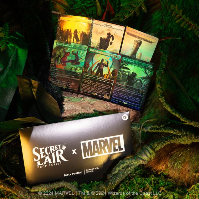 SEA-SLD-MTG-BLACK_PANTHER-F