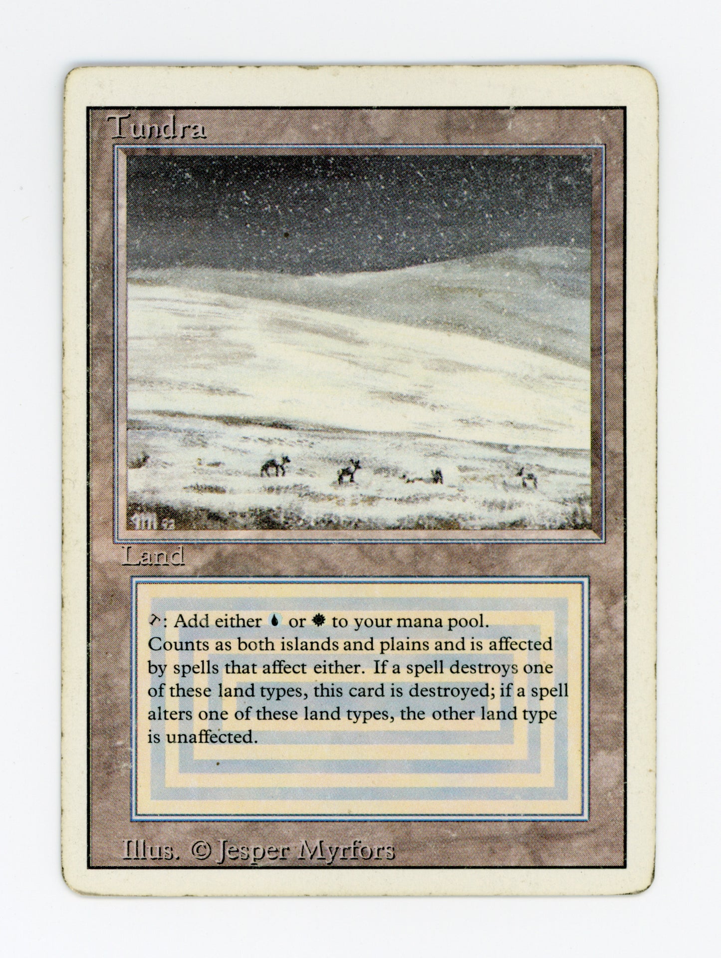Tundra — ID 19840