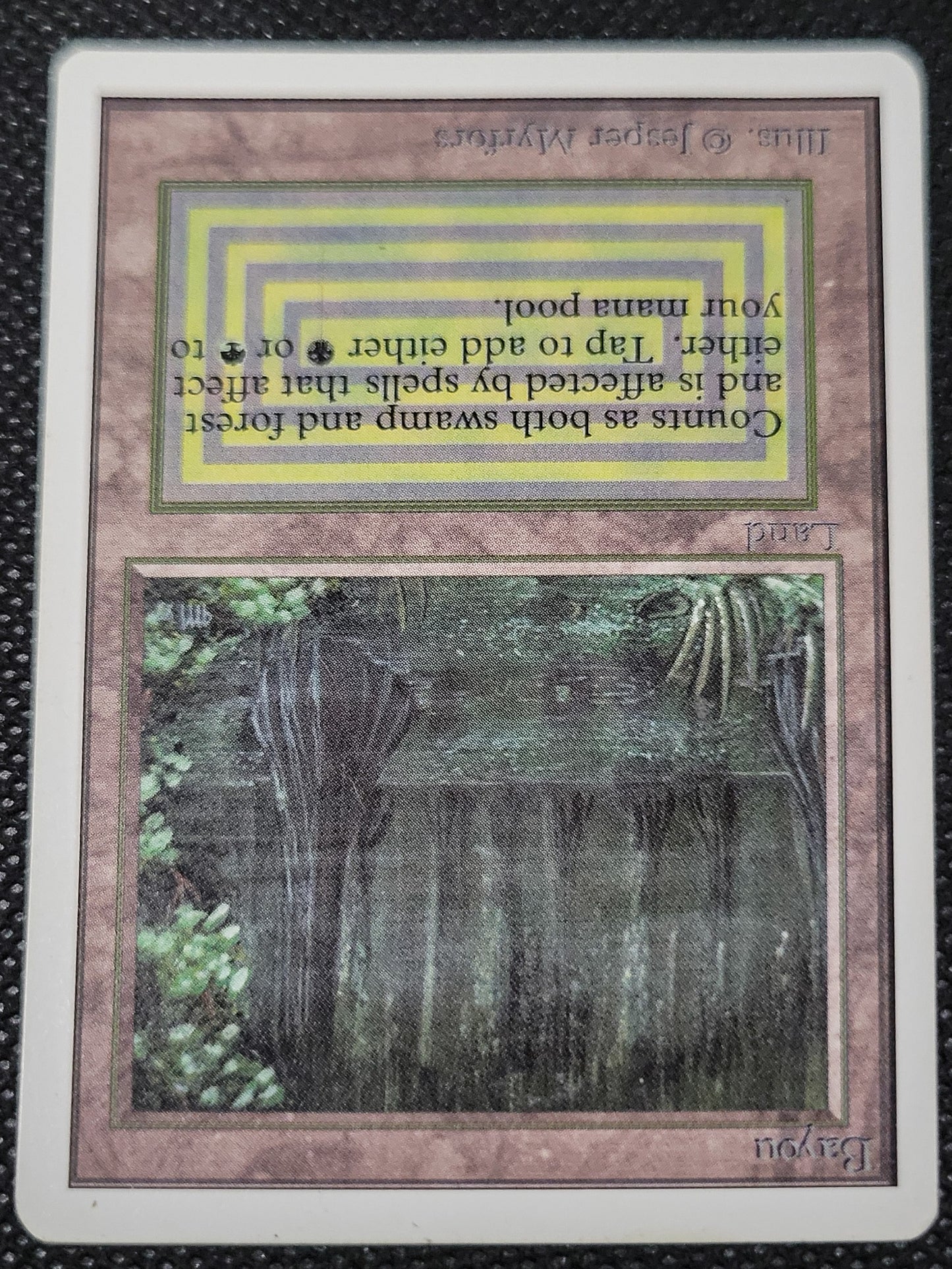 Bayou — ID 17002