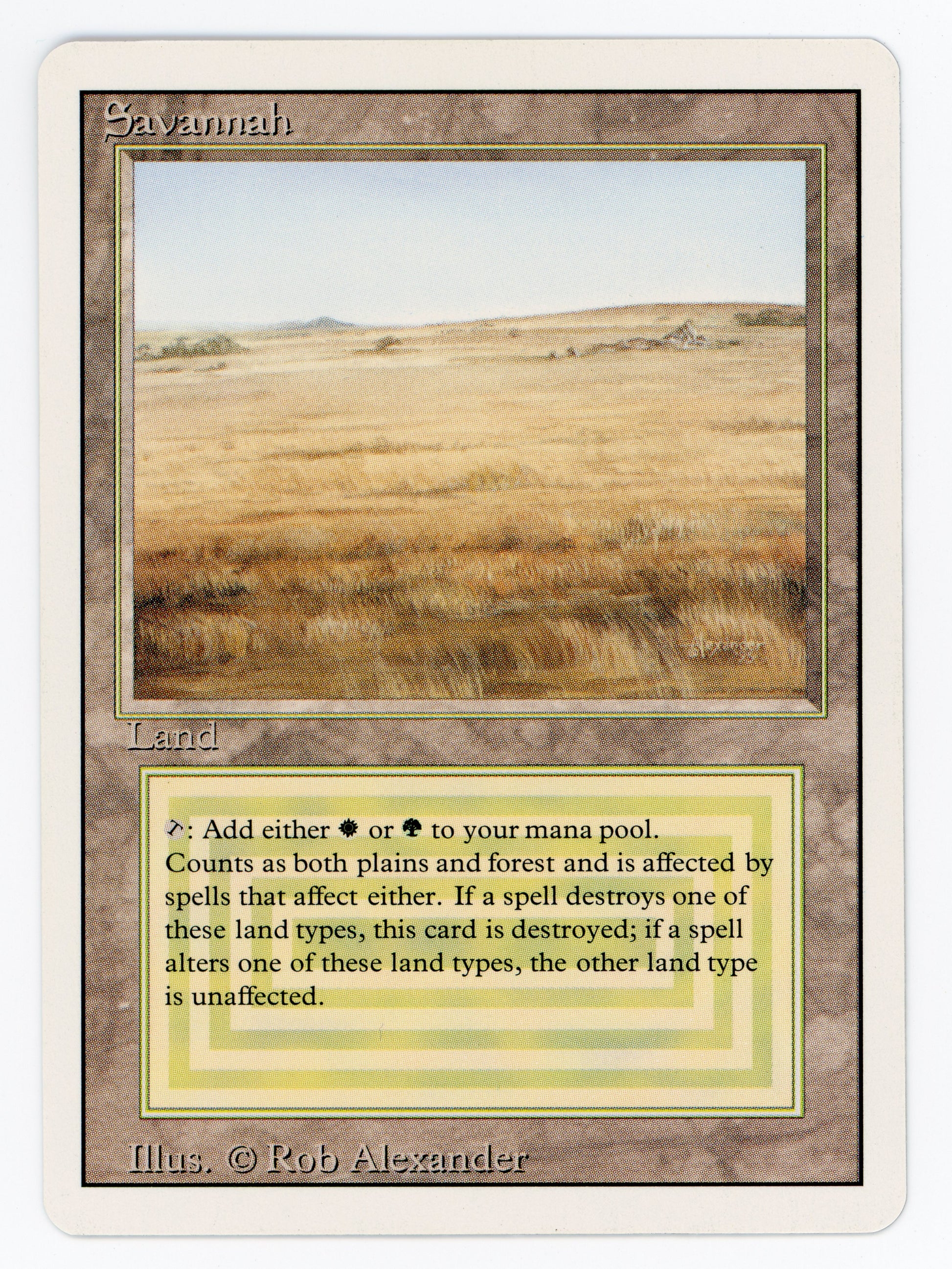 SIN-SCAN-14942