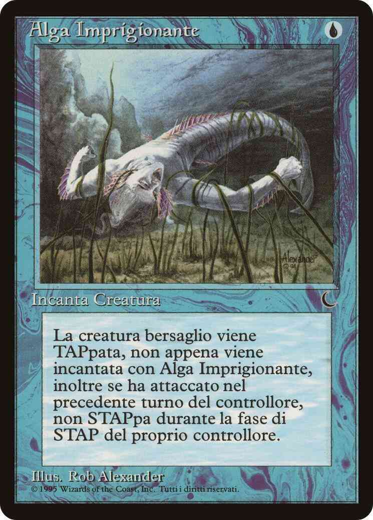 Tangle Kelp - Italian [37] [The Dark: Italian] [Non-Foil]